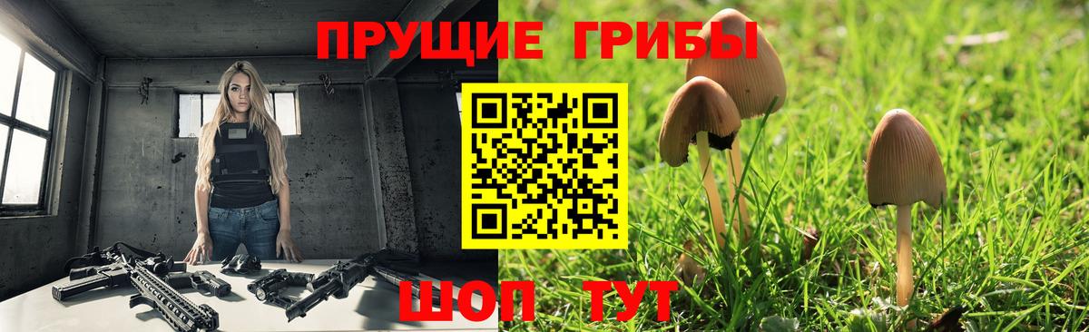 Георгиевск  Галлюциногенные грибы GOLDEN TEACHER  Вход с VPN 